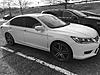 New to the forum-img_0472.jpg