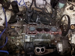 Name:  922448_369487516490105_839536350_o.jpg
Views: 447
Size:  51.8 KB