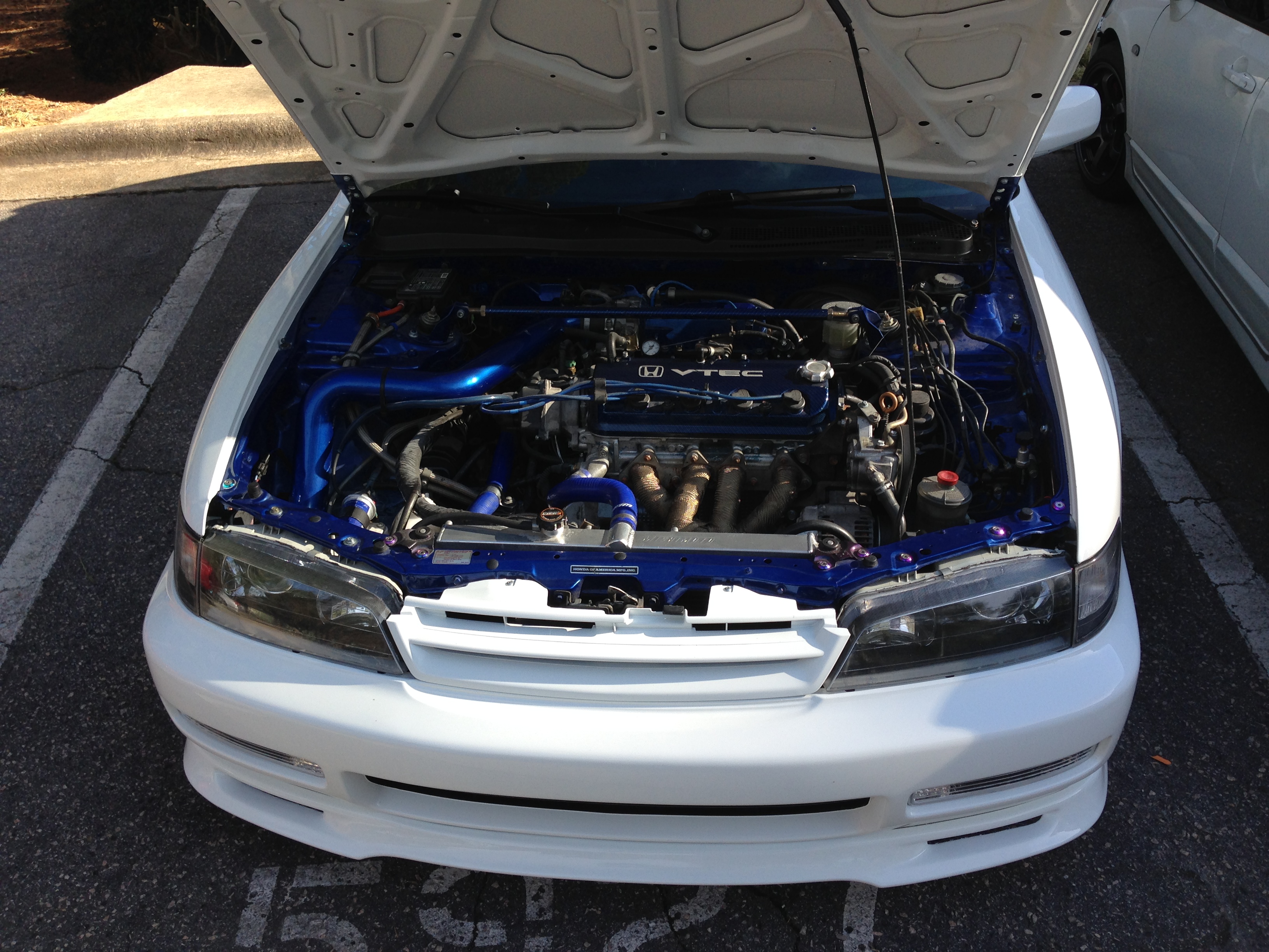 Name:  IMG_3503_zpsf543121d.jpg
Views: 325
Size:  2.23 MB