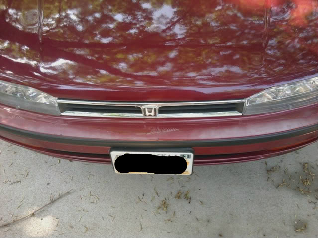 Name:  mms_picture-17.jpg
Views: 222
Size:  62.1 KB