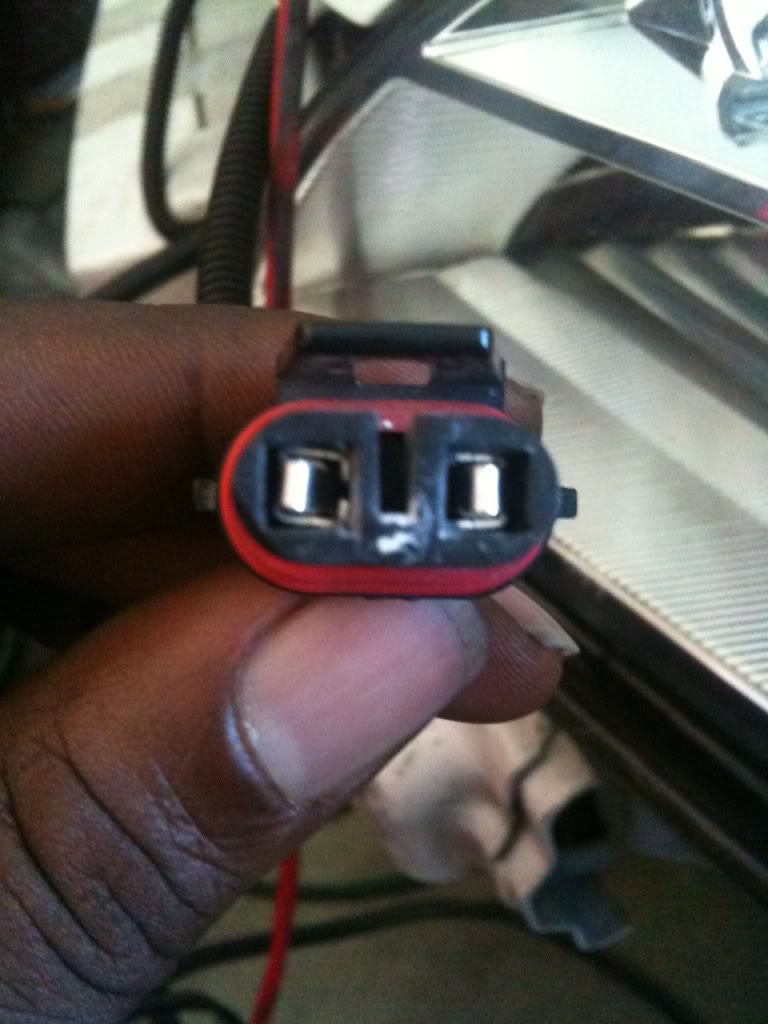 Name:  1284520099.jpg
Views: 33
Size:  82.8 KB