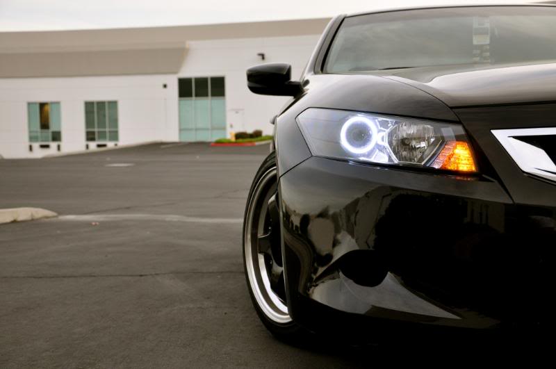 Name:  DSC_0043.jpg
Views: 428
Size:  40.1 KB