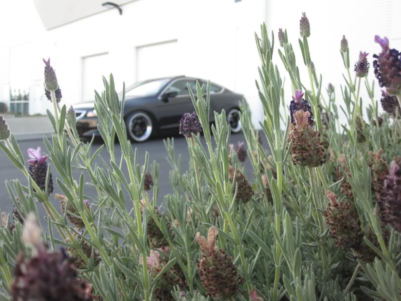 Name:  IMG_0446.jpg
Views: 416
Size:  74.3 KB