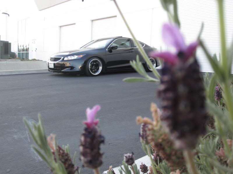 Name:  IMG_0447.jpg
Views: 536
Size:  46.4 KB