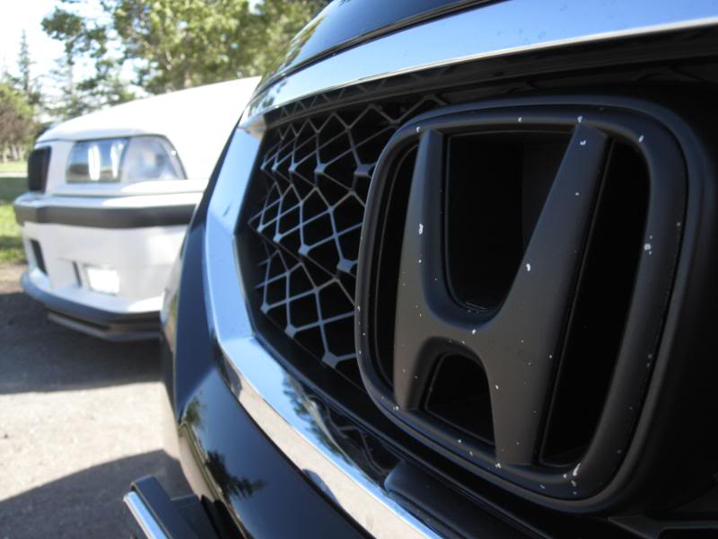 Name:  IMG_0415.jpg
Views: 459
Size:  52.2 KB