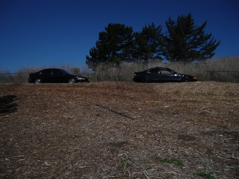 Name:  DSC00658.jpg
Views: 34
Size:  109.8 KB