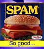 SPAM for sale-spamgoodgone3_animation.jpg