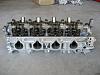 What are these?-img_1256.jpg