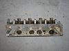What are these?-img_1297.jpg