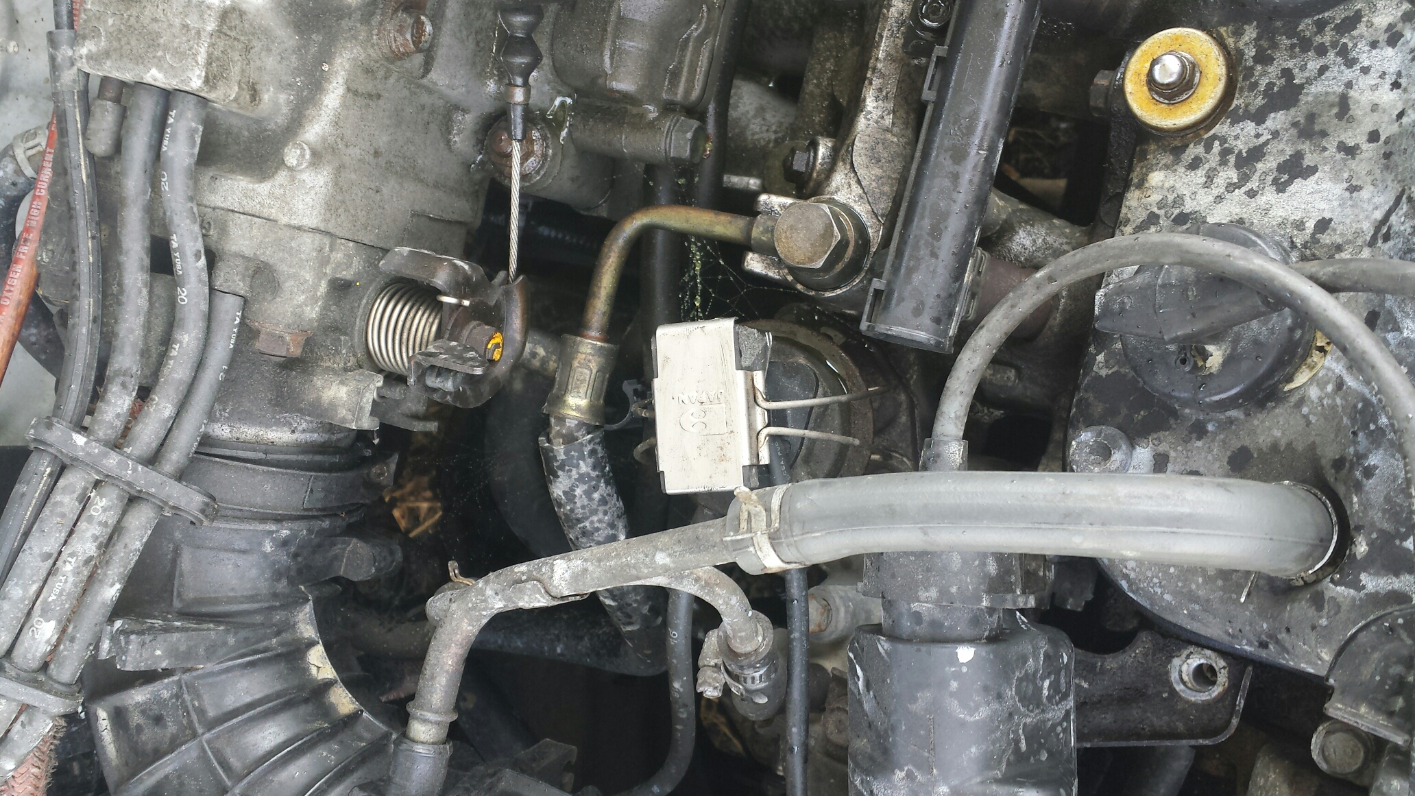 Blown Head Gasket on 1993 Honda Accord F22A1 Motor Honda Accord Forum
