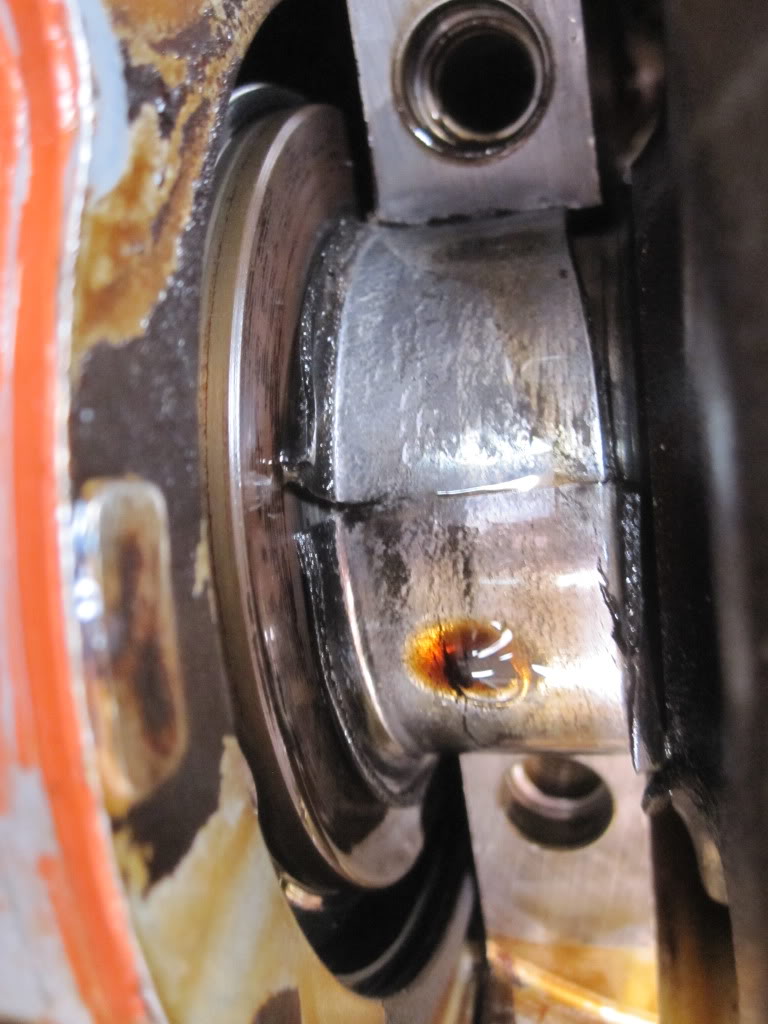 Name:  IMG_2551.jpg
Views: 1334
Size:  102.0 KB