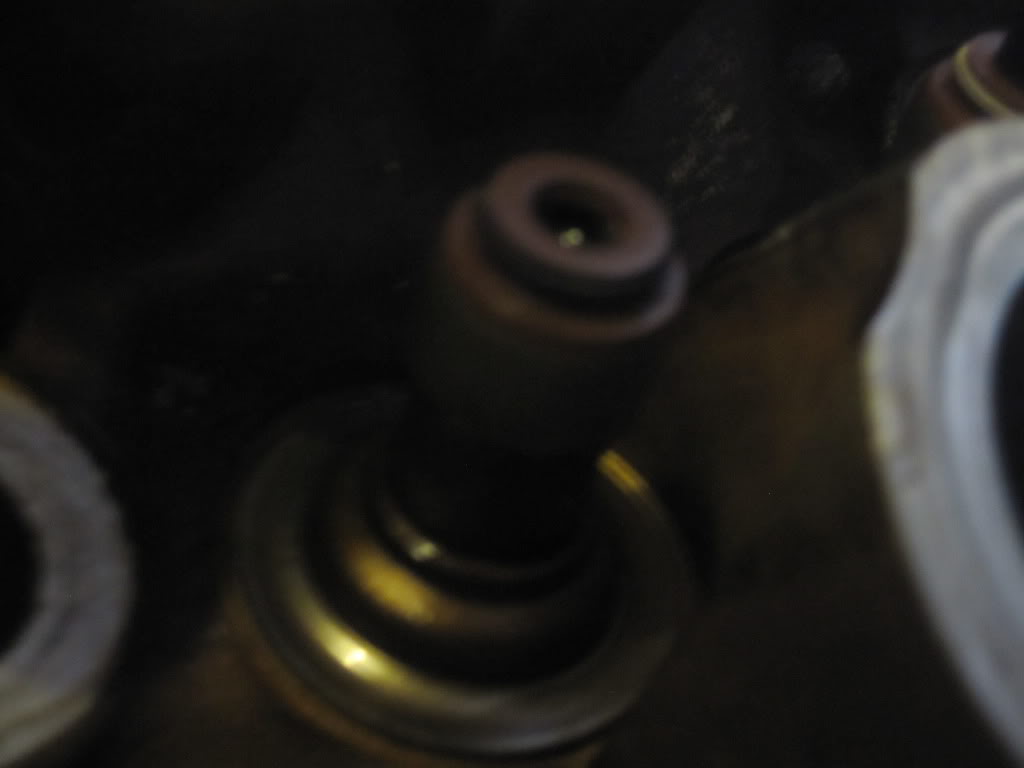 Name:  IMG_2542.jpg
Views: 1391
Size:  31.4 KB