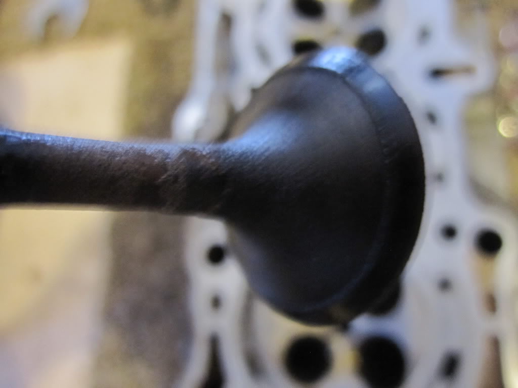 Name:  IMG_2543.jpg
Views: 1361
Size:  55.2 KB