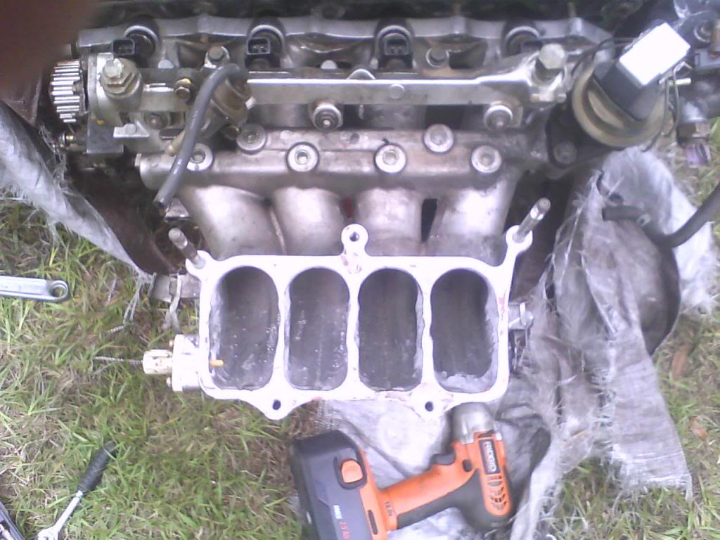 Name:  intake5.jpg
Views: 1335
Size:  106.2 KB