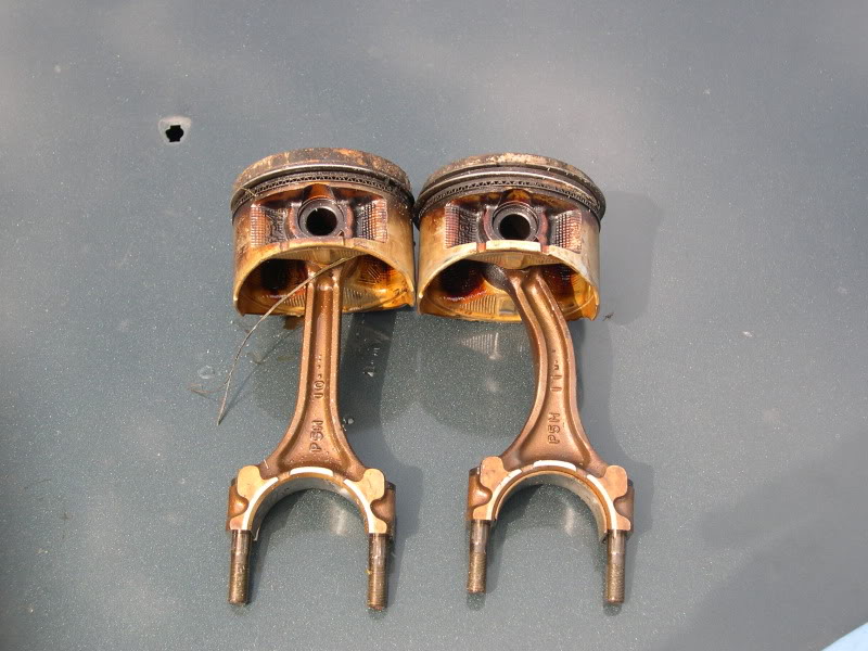 Name:  DSCN2412.jpg
Views: 1397
Size:  125.4 KB