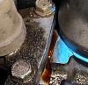 1999 2.3l vtec solenoid gasket leaking-002-1.jpg