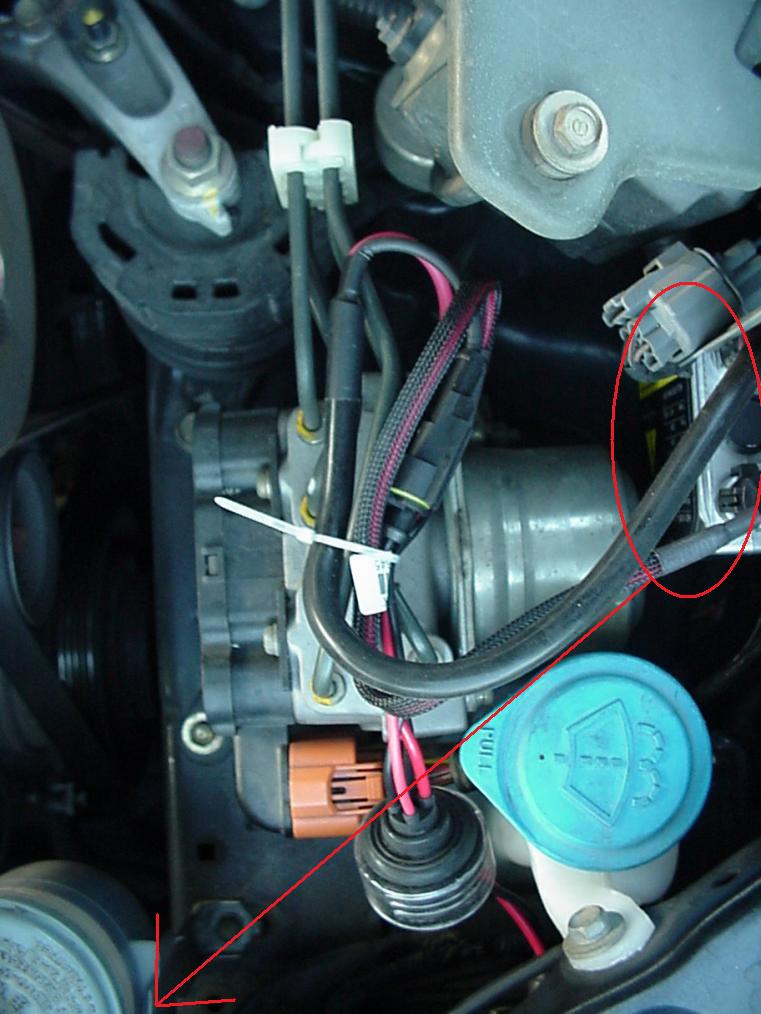 Honda accord abs light reset