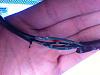 SOLVED - '04 gauges out, rev light out blowing fuse #21-image.jpg
