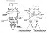 wiring am fuel gauge-5th-gen-fuse-panel-dash.jpg