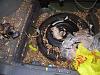 1994 - 1997 Honda Accord LX Wagon starter-dscn3413sm.jpg