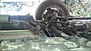 Stolen Catalytic Converter - I think?-20170204_113924.jpg