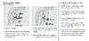 Brake Lamp fault light/ center and right side brake lights out-rear-bulbs.jpg