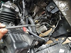 Disconnected Hose and Electrical Connector near Transmission-hose-2.jpg