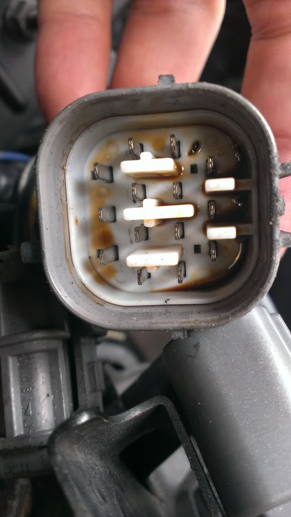 Name:  IMAG0154.jpg
Views: 184
Size:  67.1 KB