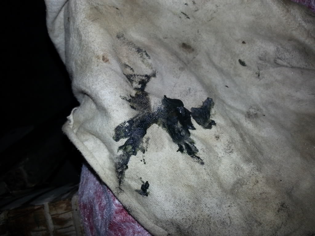 Name:  20120718_163859.jpg
Views: 767
Size:  134.5 KB