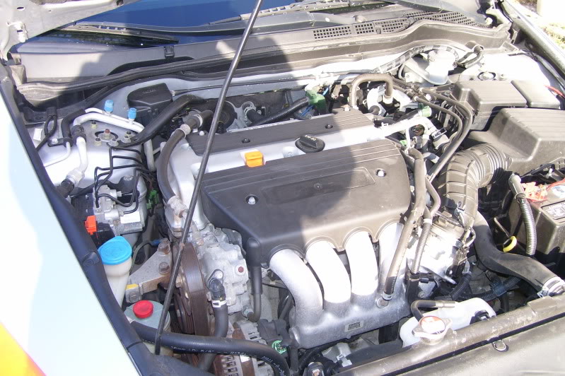 Name:  100_4226.jpg
Views: 143
Size:  113.4 KB