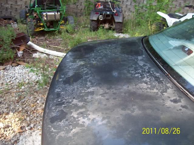 Name:  101_3099.jpg
Views: 133
Size:  81.4 KB
