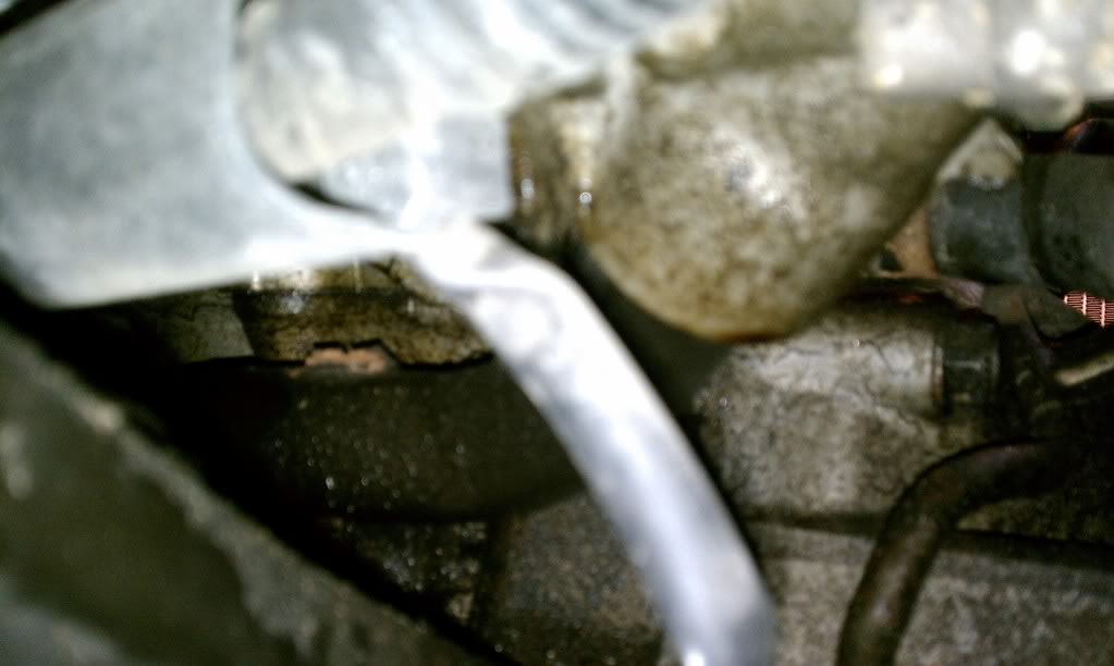 Name:  IMAG1249.jpg
Views: 73
Size:  54.6 KB