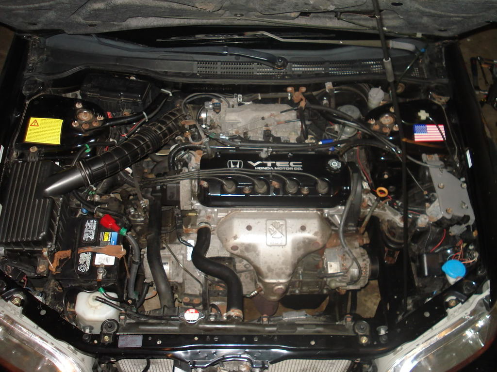 Name:  DSC01619.jpg
Views: 3165
Size:  140.0 KB