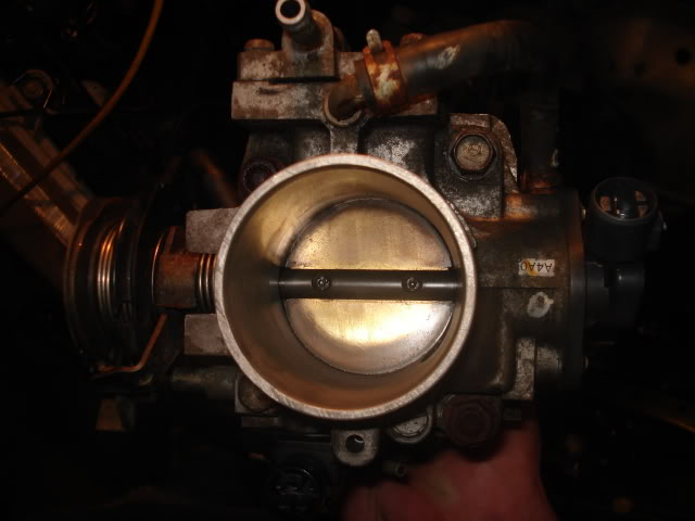 Name:  DSC01684.jpg
Views: 4785
Size:  34.2 KB