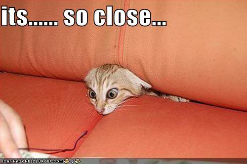 Name:  funny-pictures-cat-couch.jpg
Views: 923
Size:  22.8 KB
