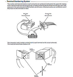 Honda Brake Lights Quandry-terminal-numbering.jpg