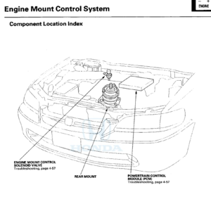 Jolt in reverse when cold-1998-2002-engine-mount-1.png
