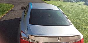 roof leak-honda-leak-pic.jpg