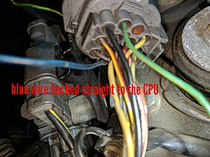 Accord detective needed-blue-wire-tampered-stright-cpu.jpg