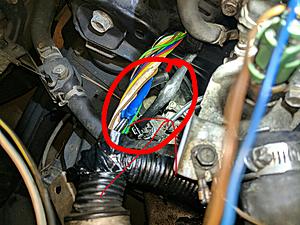 Accord detective needed-wire-manipulated-open-hose-end-what-.jpg