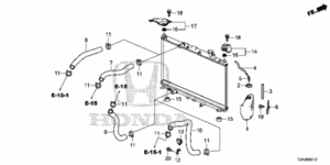 What is the part number? (radiator supports)-2013-radiator-hoses.gif