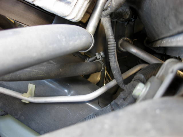 Name:  TetMU.jpg
Views: 652
Size:  28.6 KB