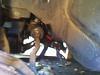 99 Accord LX Power Steering Line Help Needed-198.jpg