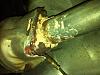 1997 Catalytic Conv. Replacement - Aftermarket ok?-pic-2.jpg
