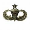 Just a Few Questions-seniorcombatwings_reasonably_small.jpg