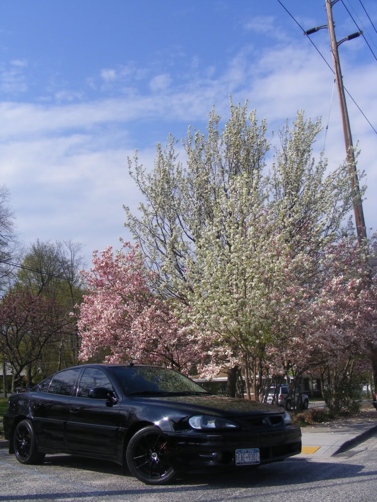 Name:  Stealth-Field19.jpg
Views: 112
Size:  188.0 KB