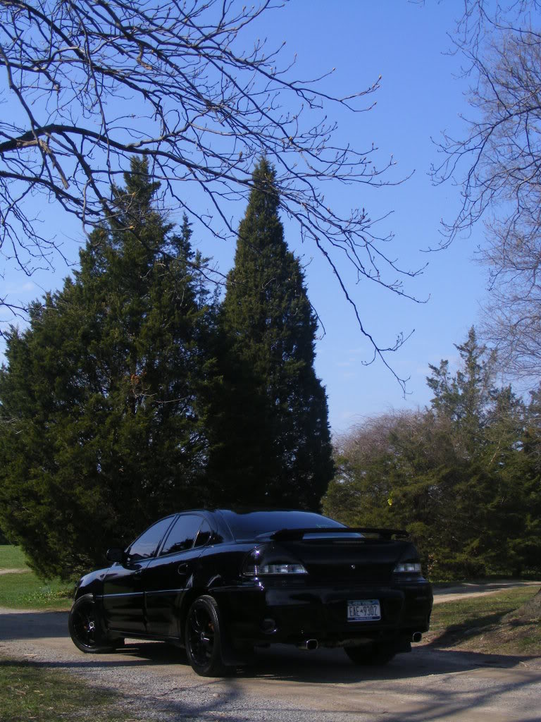 Name:  Stealth-Field10.jpg
Views: 119
Size:  178.2 KB