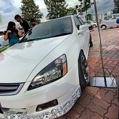 Name:  sharkie3_zps3dcbd240.jpg
Views: 1340
Size:  55.0 KB