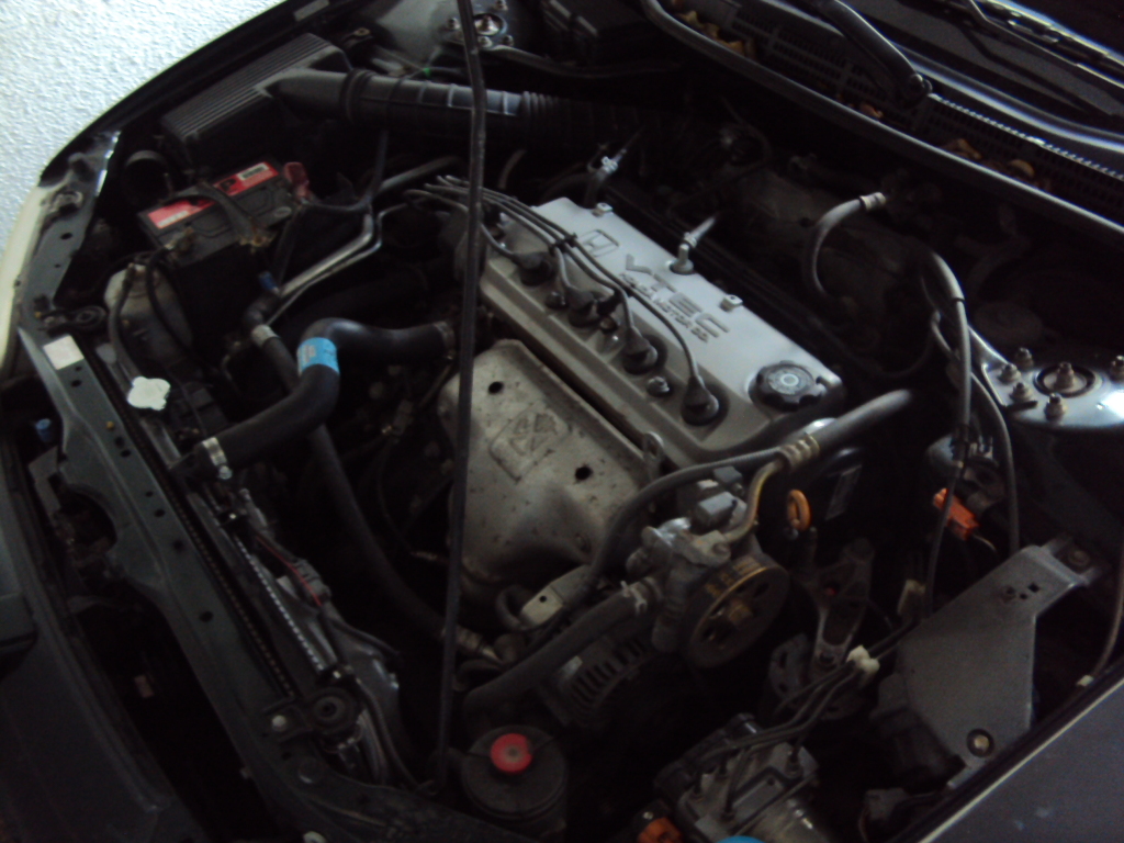 Name:  DSC07010.jpg
Views: 57
Size:  453.8 KB