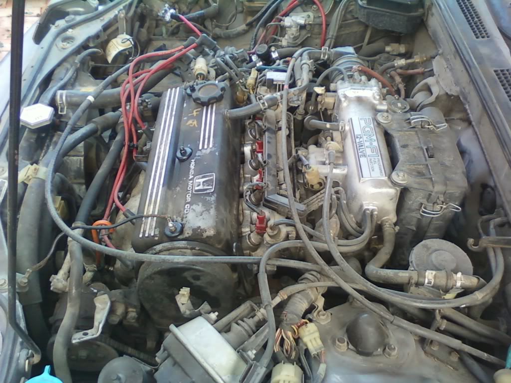 Name:  SSPX0051.jpg
Views: 76
Size:  139.8 KB